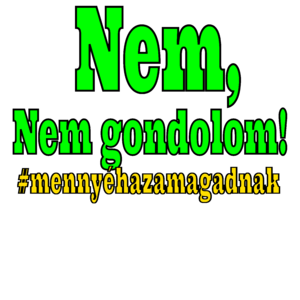 Nem gondolom!